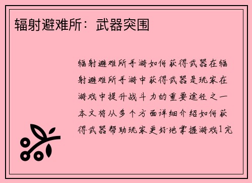 辐射避难所：武器突围